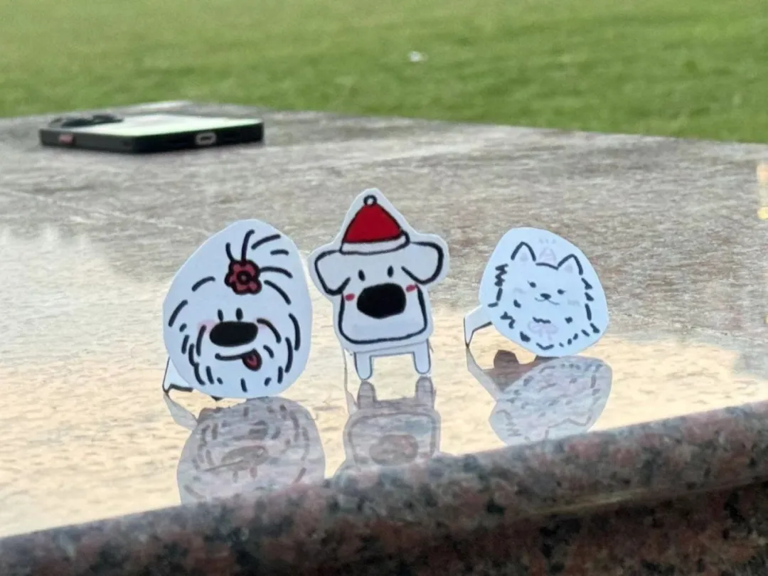 秋天的第一次相“愈”！