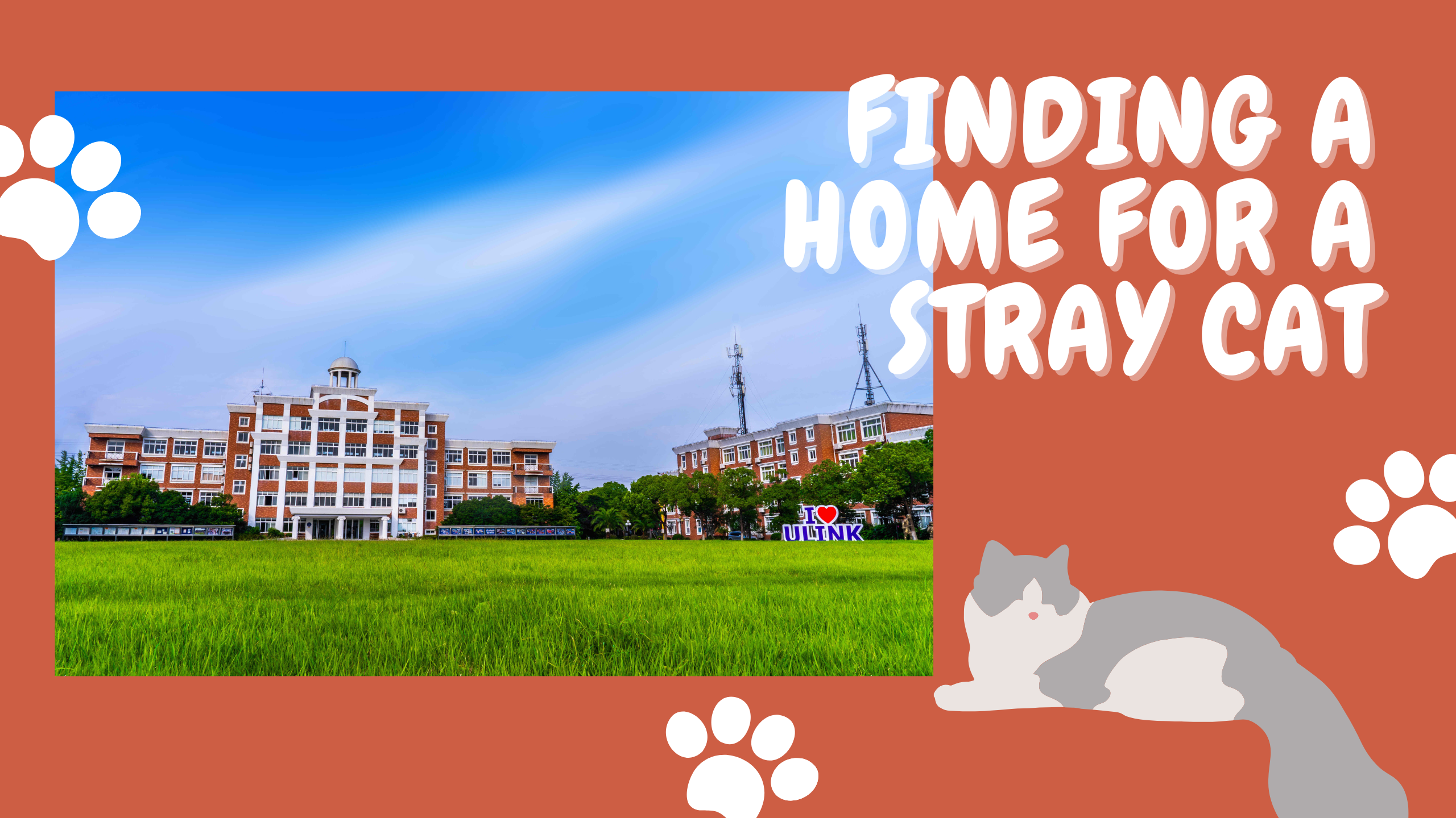 Ulink Teacher and Student Team Up to Build a New Home for a Stray Cat