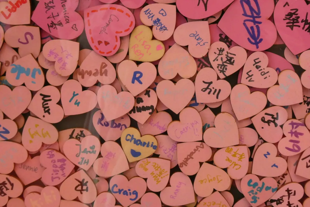 这个春天，拥抱每一份粉红色的独特！